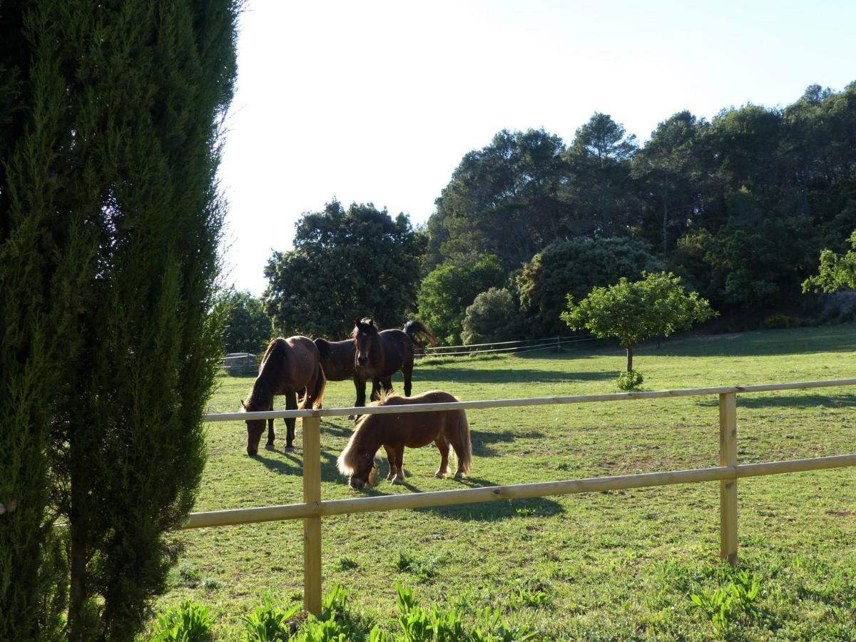 Domaine Des Bruguieres Villa Entrecasteaux Eksteriør bilde